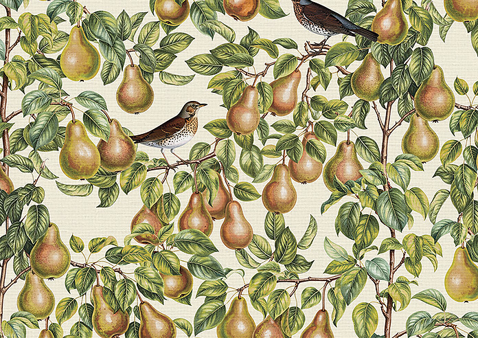 Pears, Petal - Roman Blind - Image 7